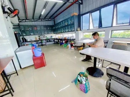 Ktx Nữ Ngay Đại Học Nông Lâm Đh Spkt, Đh Ngân Hàng, Làng Đại Học