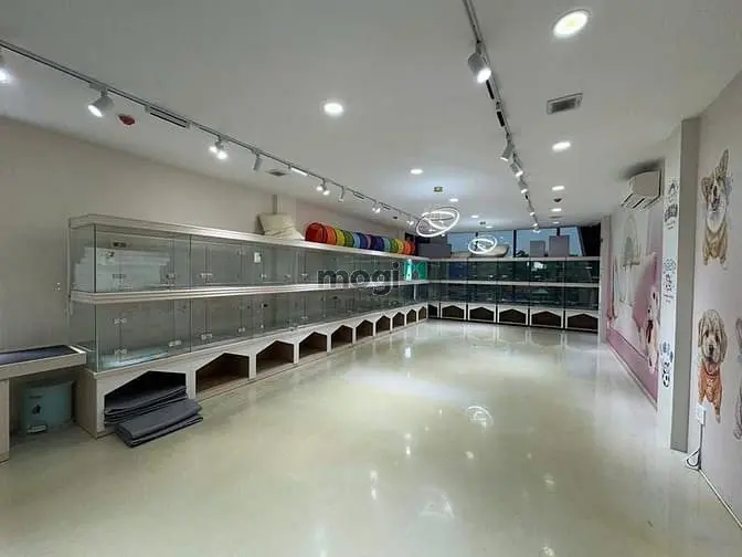 Tòa Nhà Mt Thảo Điền Dtsd Hơn 500M2, 5 Tầng + Thang Máy. Giá 220Tr/Th