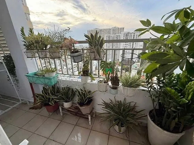 C/C Miếu Nổi Vũ Huy Tấn, Bt: 3Pn, Full Nt, 95M2 Nhà Sạch 14Tr, Bancong