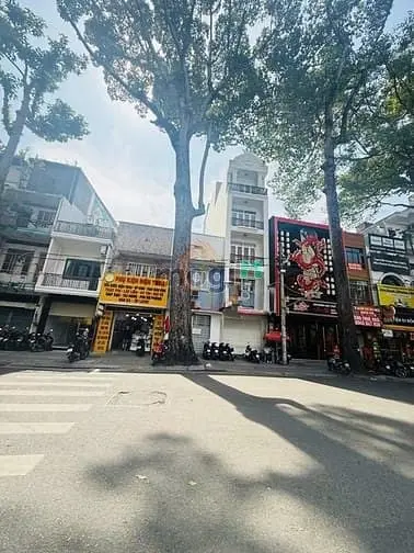 32 Tỷ! Bán Tòa Mt Trần Quang Khải Quận 1 - 4X24M - 6 Tầng Thang Máy