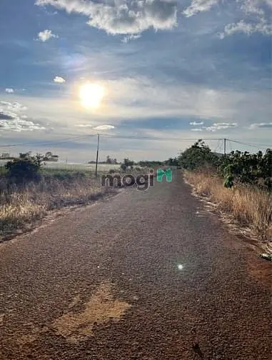 Đất Khu Tái Định Cư Trà Đa, Ngay Kề Bệnh Viện Nhi Gia Lai