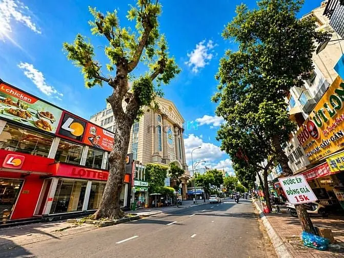 Tài Sản Hiếm Q3 – 2Mt, Dt 260M², Đầu Tư Giữ Dòng Tiền Tốt