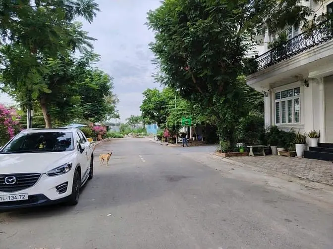 Nhà Mặt Tiền Đường Nhựa Rộng 16 M Quận 7. 5*21 Chỉ 13,6 Tỷ.