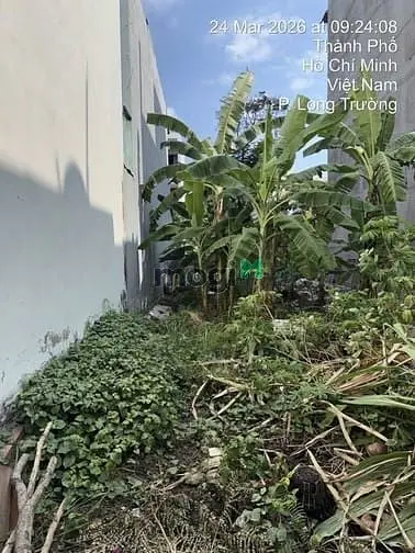 Đất Đường Số 1 Long Trường (Kdc Sông Ông Nhiêu) -52M2 - 3.7 Tỷ