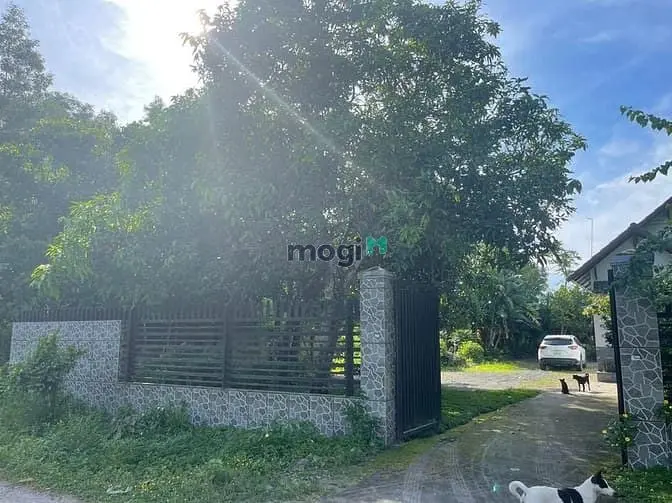 Bán Gấp Đất Thổ Nhà Vườn Nhơn Trạch Giá Rẻ 5Ty/1500M,Oto,Shr Chính Chu