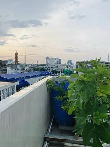 Cần Bán Gấp Nhà Tôn Thất Thuyết Q4 6M X8,2M 2Pn 3Wc