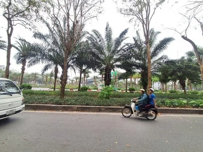 Mặt Phố Ngô Gia Tự - Long Biên – 72 M2 – 2 Tầng – Mt 6 M – Giá 20.1 Tỷ