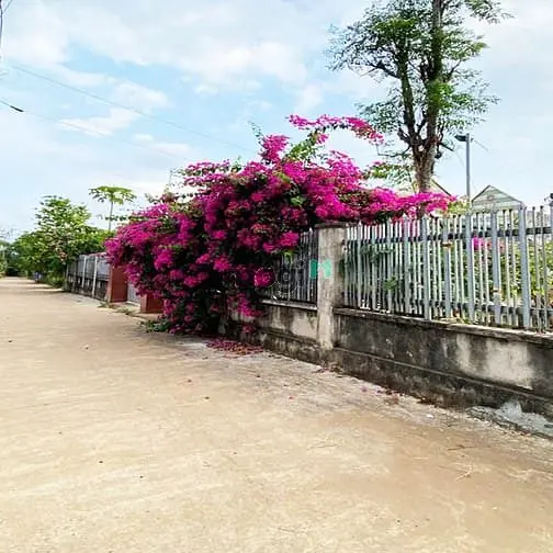 Cạnh Đường Nhựa Xuân Lộc – Long Khánh. Tcsr. Giá Ngộp Chỉ 490Tr.