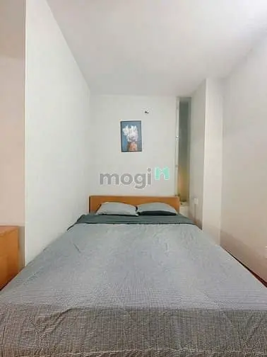 Cho Thuê Căn Hộ Khu Thảo Điền Quận 2 Full Nt 80M2 2Pn Hồ Bơi Nuôi Pet