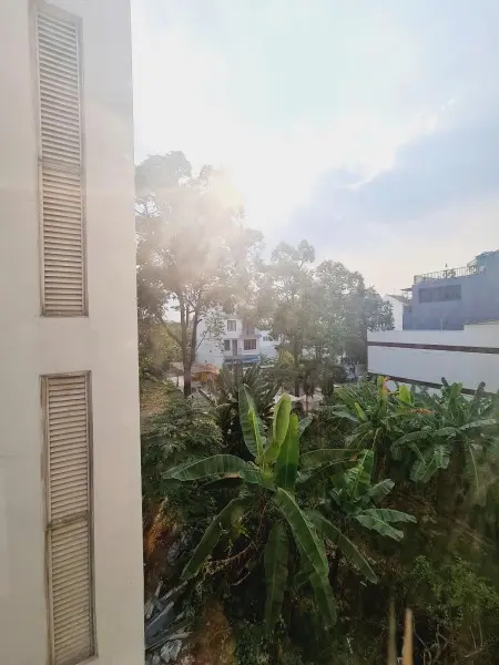 Căn Hộ Bình Chánh Sẳn Nội Thất - View Cây Xanh - Tách Bếp