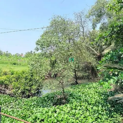 Bán Đất Mặt Tiền Đường Số 1, Phường Long Phước, Quận 9