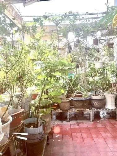 Mặt Tiền Kinh Doanh - Đặng Văn Ngữ - Lê Văn Sỹ - 105M2 - Chỉ 15.98 Tỷ