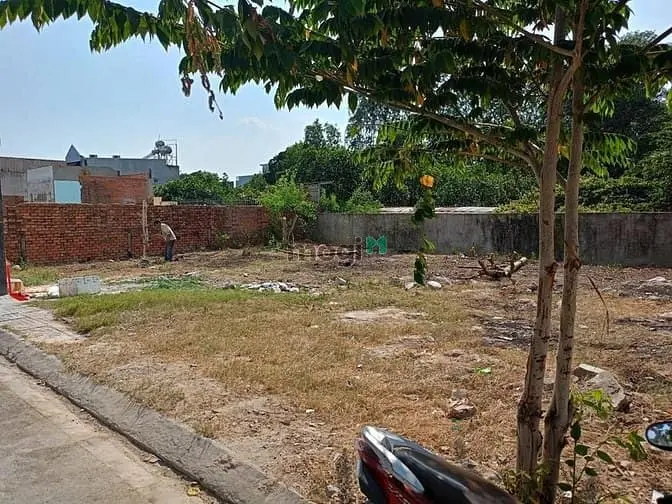 Bán Đất Gần Chợ Bà Hom Cũ, Tân Tạo, 62M2, Shr, Quận Bình Tân