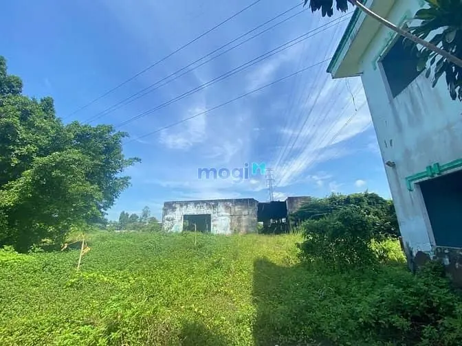 Cho Thuê Kho Và Đất 5700M² Mt Võ Văn Bích Huyện Củ Chi