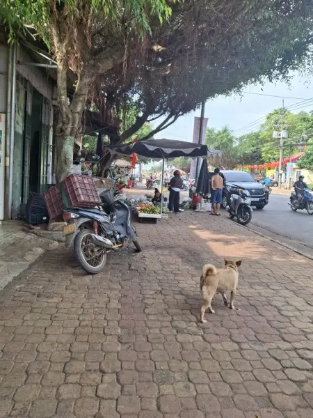 Cho Thuê Mặt Bằng Kinh Doanh Xuân Lộc