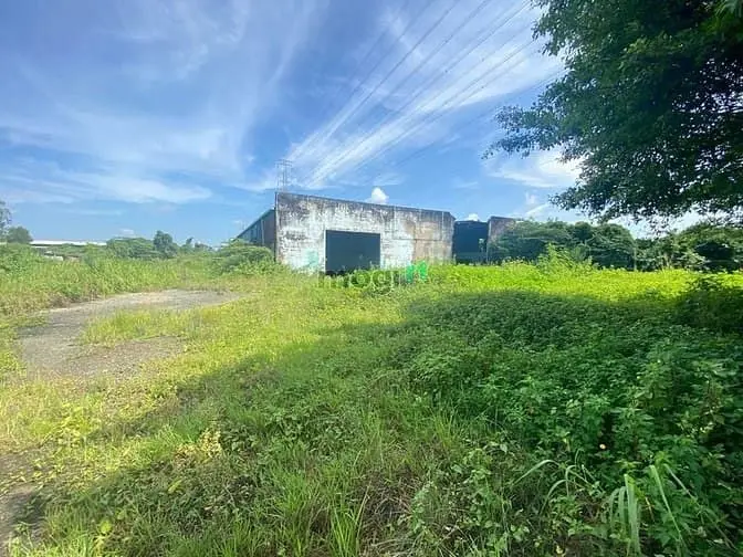 Cho Thuê Kho Và Đất 5700M² Mt Võ Văn Bích Huyện Củ Chi