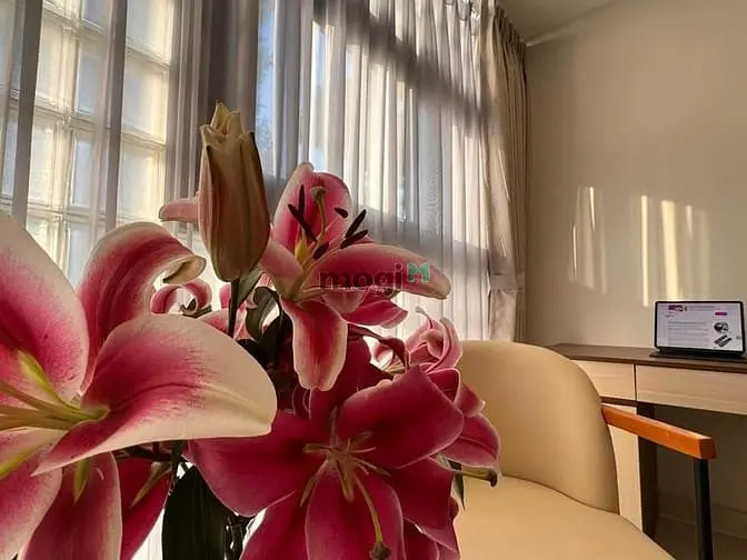 🍁Cho Thuê Căn Hộ_1Pn_Vách Ngăn_Võ Văn Tần