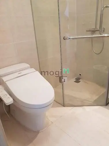 Topaz Garden- Trịnh Đình Thảo- Cho Thuê Căn 2P Ngủ, Ntcc Giá 10,5Tr/Th