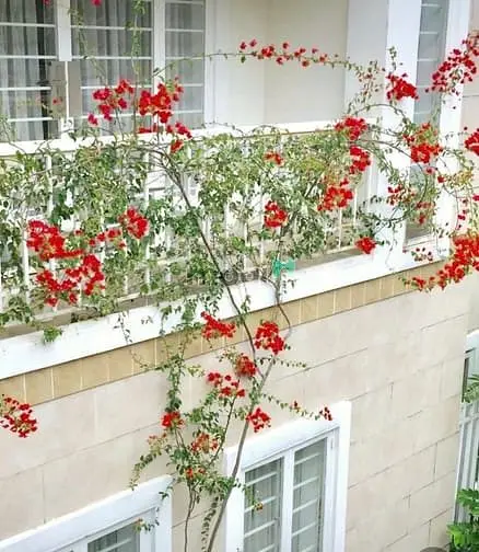 Độc Quyền Bán Biệt Thự Góc 2 Mặt Tiền Compound Trần Não, P. An Khánh