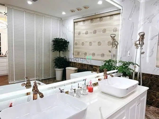 Biệt Thự Geleximco Lê Trọng Tấn 160M, Vỉa Hè Kinh Doanh