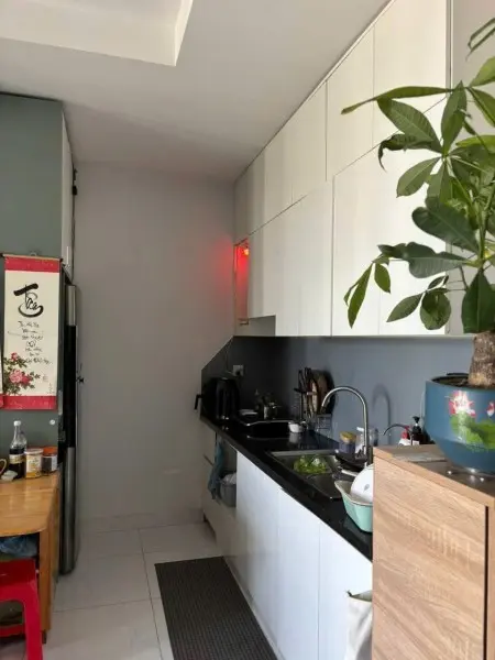 Chung Cư Ruby, Nguyễn Sỹ Sách, Tb: 3P Ngủ, Full Nt, 11Tr/Th, 85M2