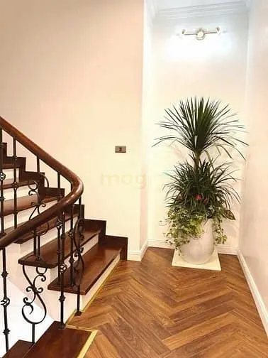 Biệt Thự Geleximco Lê Trọng Tấn 160M, Vỉa Hè Kinh Doanh