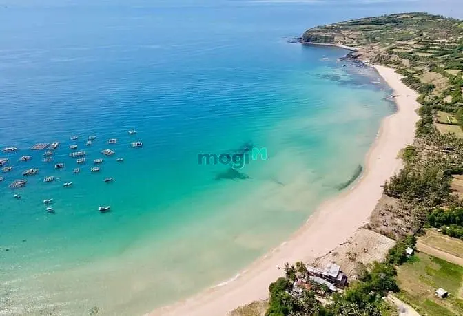 Bán Đất Biển Tuy An Đông Sát Gành Đá Đĩa, Sổ Đỏ, 12,1 Tỷ