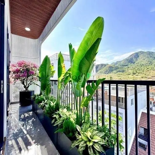 🏡 Beautiful 1-Bedroom Apartment With Balcony – North Nha Trang