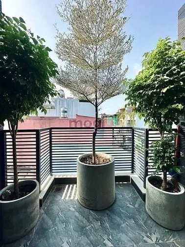 Nhà Đẹp 3 Lầu Ngay Khu Cao Lỗ Quận 8 - 4Pn Đủ Công Năng - Giá Chỉ 5 Tỷ