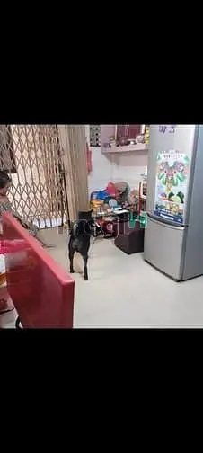 Bán Nhà Siêu Hiếm Khu Chợ Lớn Trung Tâm Quận 6 Cũ