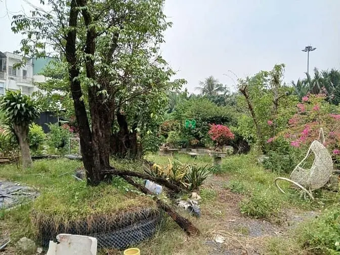 Cho Thuê 1.600M2 Đất Tc Ngay Vòng Xoay Phú Hữu