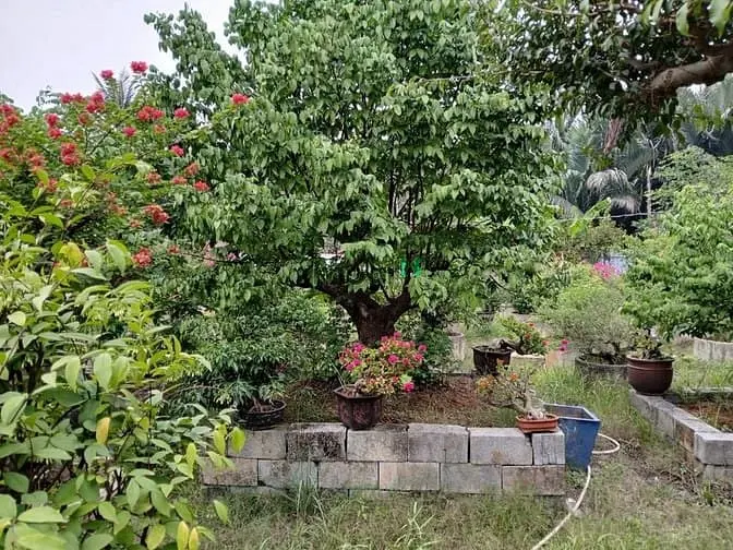 Cho Thuê 1.600M2 Đất Tc Ngay Vòng Xoay Phú Hữu