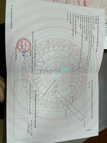 Mặt Đường Thôn Hầu Lâm Động Thủy Nguyên Hải Phòng