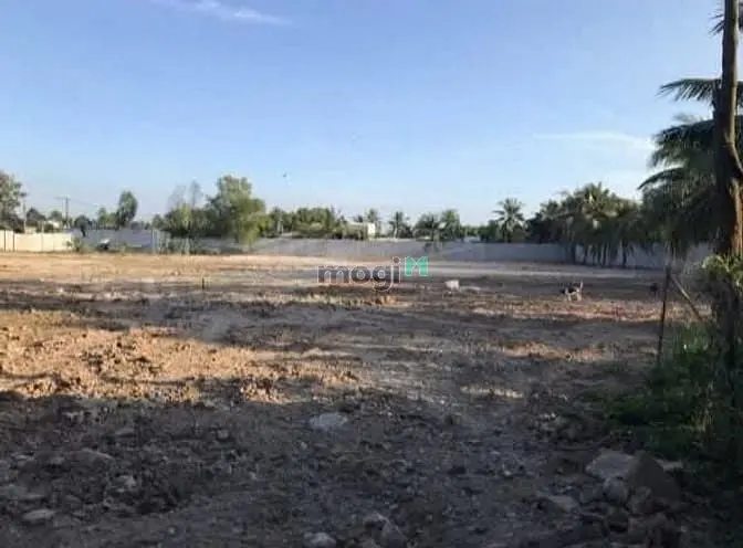 9000 M2 Đất Trống Cạnh Vành Đai Iii Quận 9
