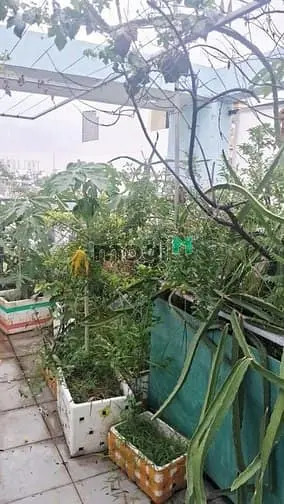 Nhà Hẻm 8M Ngay Chợ Cây Sộp, Nguyễn Văn Quá, Đông Hưng Thuận, Quận 12