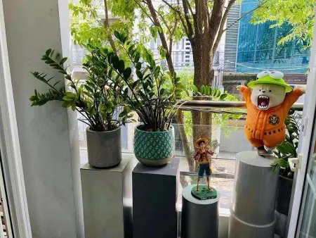 Pass Phòng Kdc Trung Sơn, Hỗ Trợ 40% Cọc