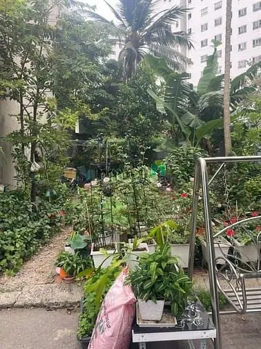 Bán Đất Hẻm Ô Tô, Đường 12 -Trường Thọ, Thủ Đức. 82M - 6,8T