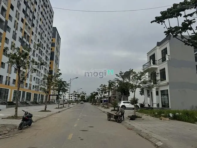 Bán Shophouse Đường 50M Ngay Ngã Tư Tràng Duệ Đang Kinh Doanh Sầm Uất