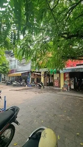 Mặt Phố Hào Nam | Lô Góc | 58M2 X 2 Tầng | Mt 4.5M | Giá 38 Tỷ
