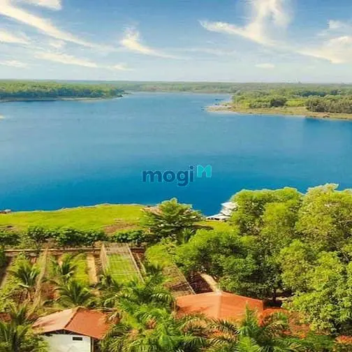 Đất View Hồ Đẹp Ngay Khu Du Lịch Suối Giai – Tiềm Năng Đầu Tư Cao