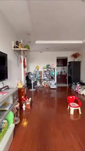 Căn Hộ Chung Cư Bình Thới, Đường Lãnh Binh Thăng, P8 Q11 - 2 Ty 350