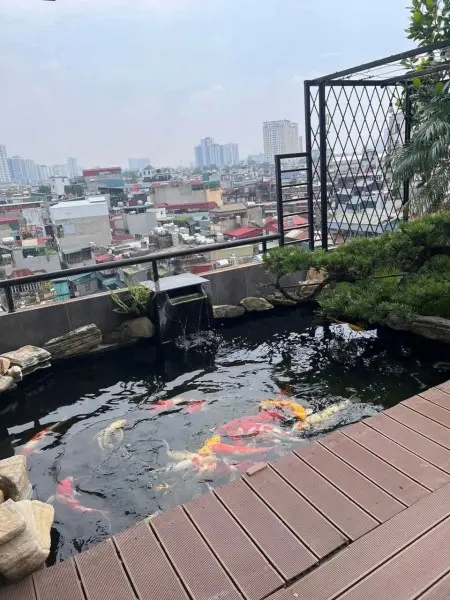 Chính Chủ Cần Cho Thuê Căn Hộ Penthouse Diện Tích 400M² Tọa Lạc Trên Phố Võ Thị Sáu