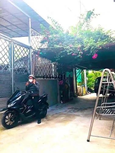 Bán Nhà Xưởng Rẻ Hxh (8X16) 87 Vườn Lài An Phú Đông Quận 12 (Trường