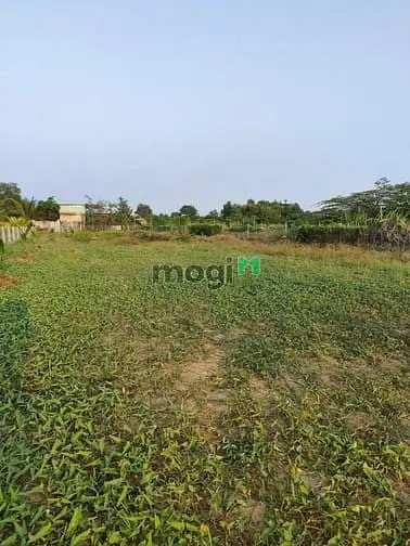 Bình Chánh Dt 1.400M², Mặt Tiền Rộng 16,35M. Chỉ 6 Tỷ