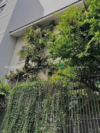 🏡Duplex Ban Công Cực Vibe Với Decor Có Gu + Green View