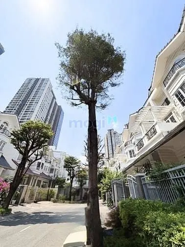 Cần B Á N G Ấ P Biệt Thự Khu Saigon Pearl 1000M2 Chỉ 300 Tỷ