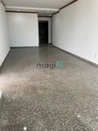 Cho Thuê Căn Hộ Chung Cư Hoàng Anh Thanh Bình Q.7 Dt 117M2 Có 3Pn 14Tr