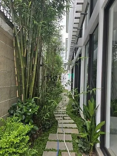 Cho Thuê Biệt Thự Số 123 Lê Hữu Kiều, Phường Bình Trưng ( Quận 2 Cũ)