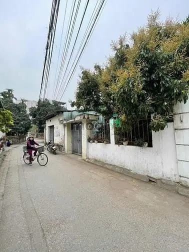 Ngọc Trì – Long Biên – Ô Tô Tránh – 224 M2 – 2 T – Mt 7 M – Giá 40.25
