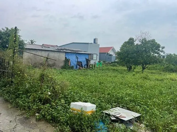 Bán Đất Chính Chủ Tại Ngõ 18 Thôn Siêu Quần Xã Tả Thanh Oai, Thanh Trì